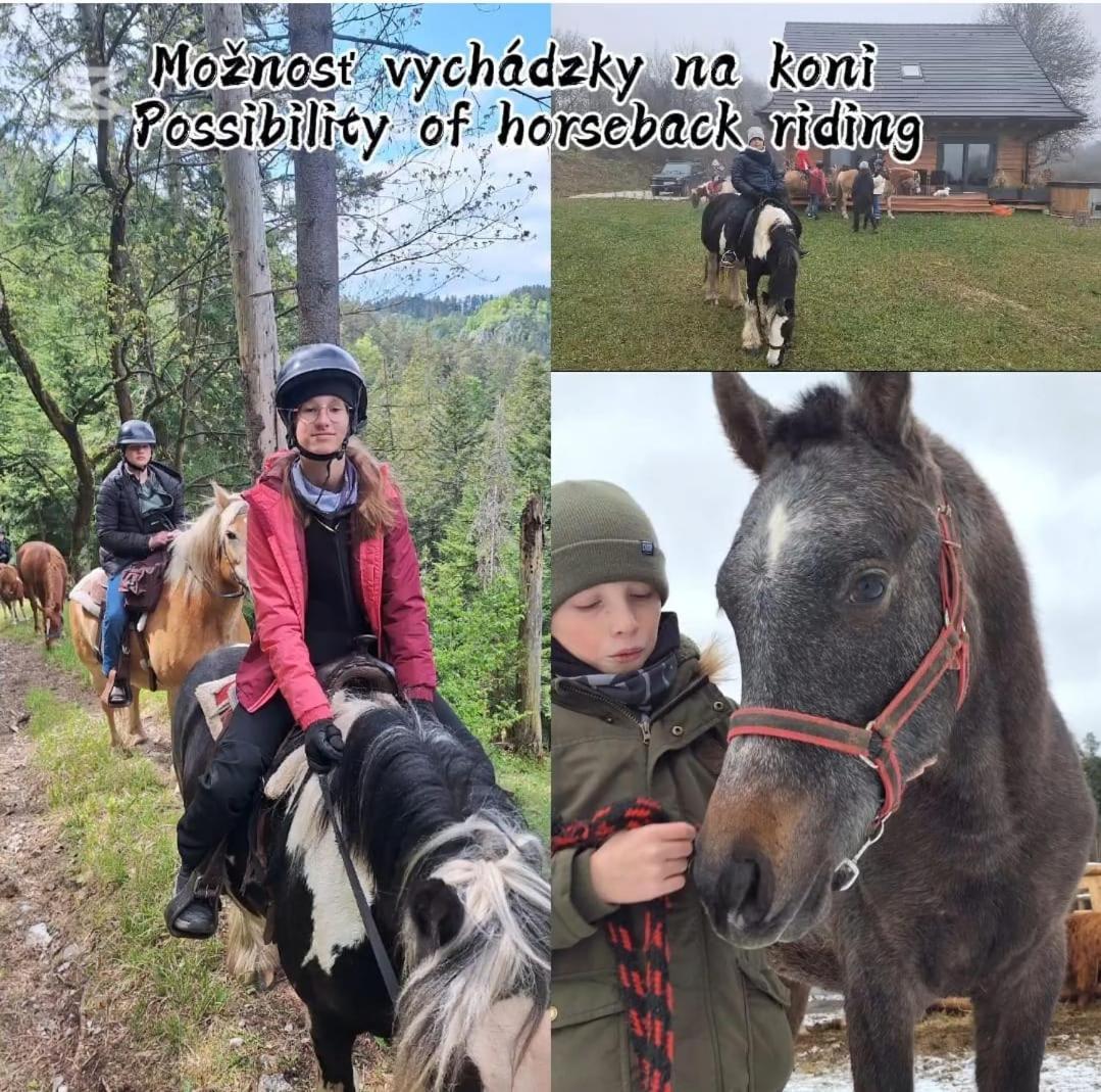 Вілла Na Samote V Raji Грабушице Екстер'єр фото